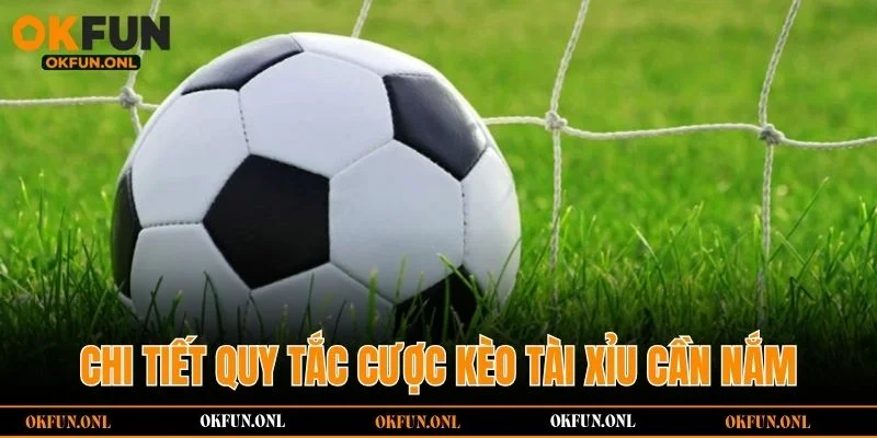 Chi tiết quy tắc cược kèo tài xỉu cần nắm